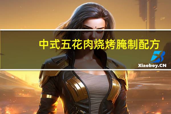 中式五花肉烧烤腌制配方