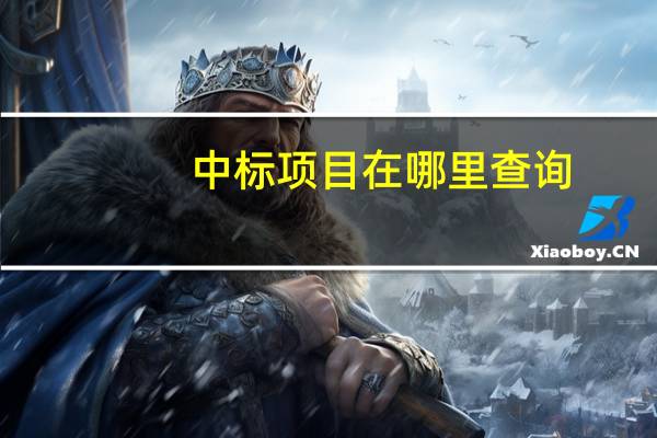 中标项目在哪里查询