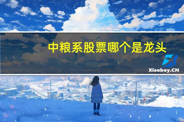 中粮系股票哪个是龙头