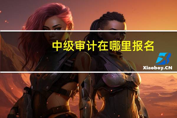 中级审计在哪里报名