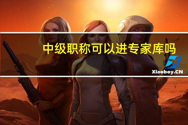中级职称可以进专家库吗