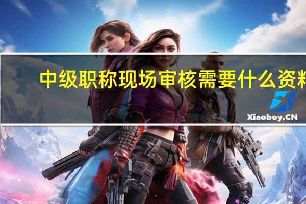 中级职称现场审核需要什么资料
