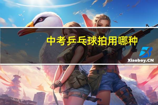 中考乒乓球拍用哪种