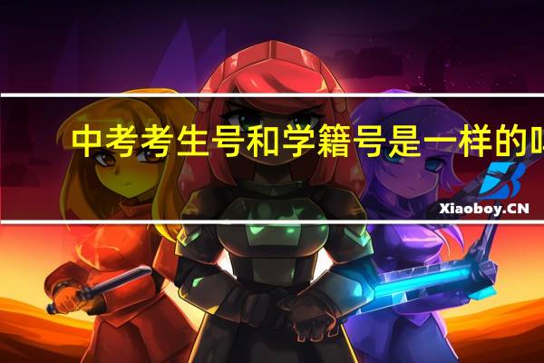 中考考生号和学籍号是一样的吗