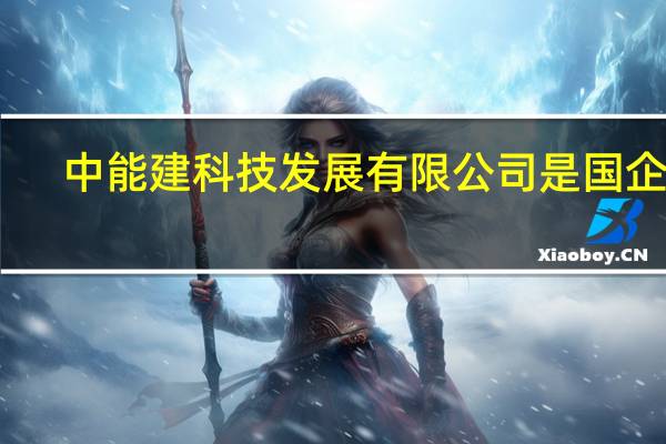 中能建科技发展有限公司是国企吗