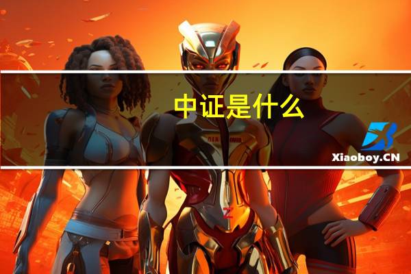 中证是什么