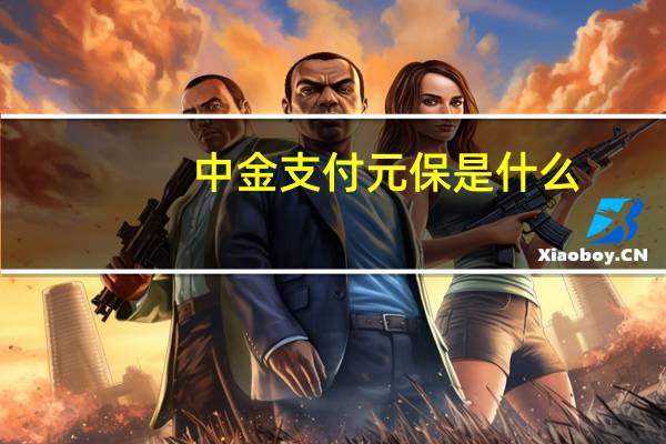 中金支付元保是什么