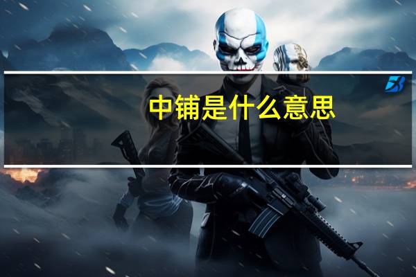 中铺是什么意思
