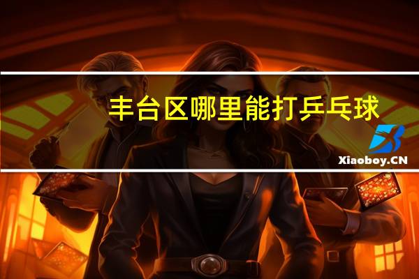 丰台区哪里能打乒乓球