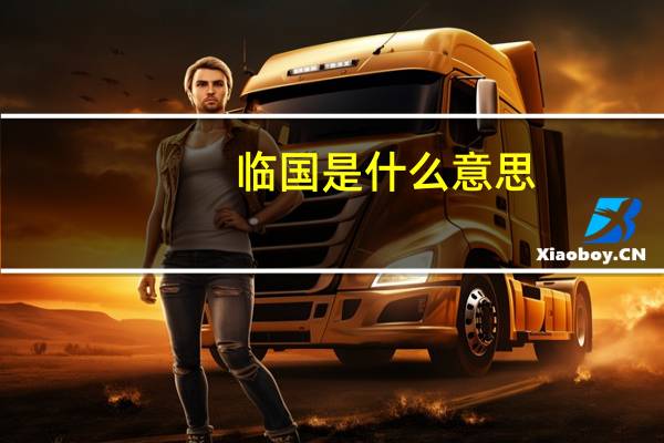 临国是什么意思