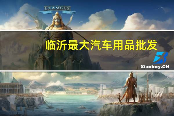 临沂最大汽车用品批发