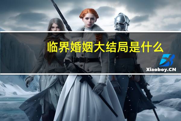 临界婚姻大结局是什么