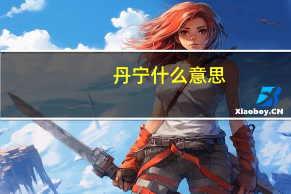 丹宁什么意思