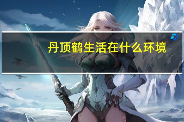 丹顶鹤生活在什么环境