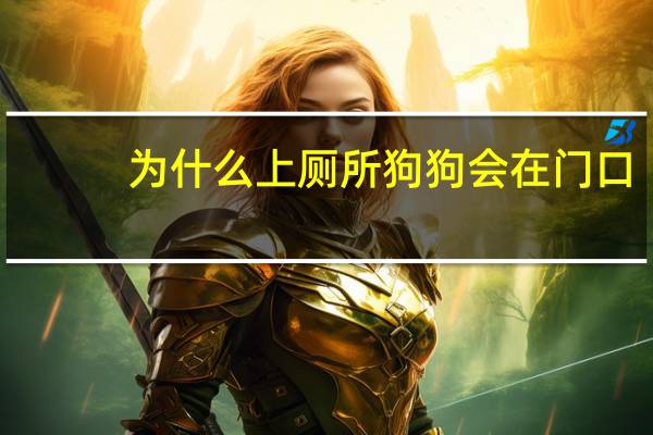 为什么上厕所狗狗会在门口