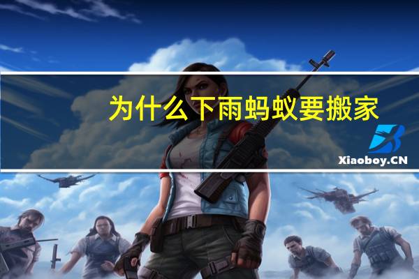 为什么下雨蚂蚁要搬家