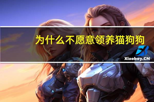 为什么不愿意领养猫狗狗
