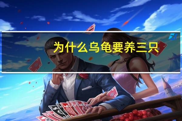 为什么乌龟要养三只