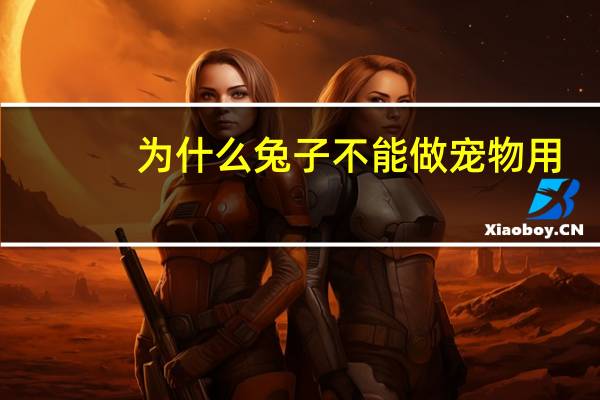 为什么兔子不能做宠物用