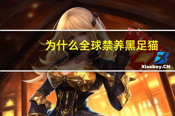 为什么全球禁养黑足猫