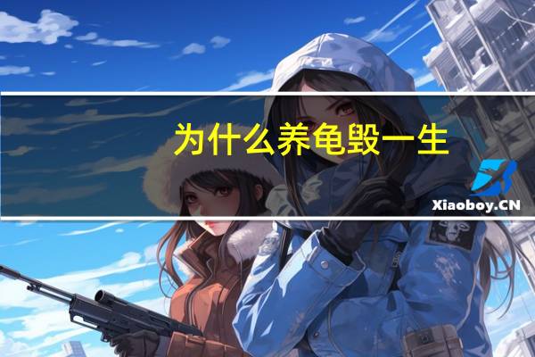 为什么养龟毁一生