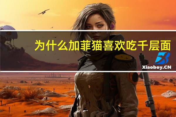 为什么加菲猫喜欢吃千层面