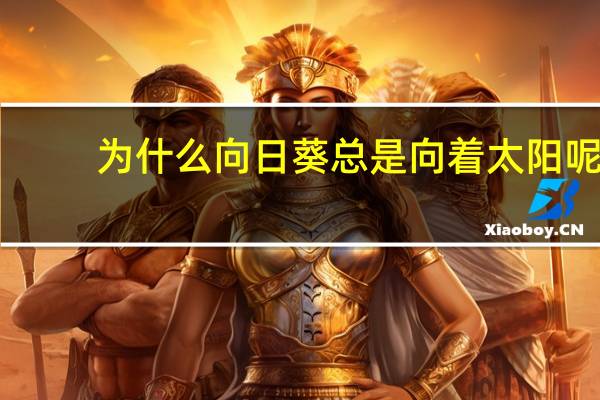 为什么向日葵总是向着太阳呢