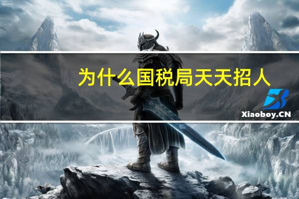 为什么国税局天天招人