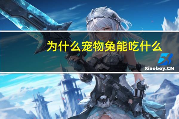 为什么宠物兔能吃什么