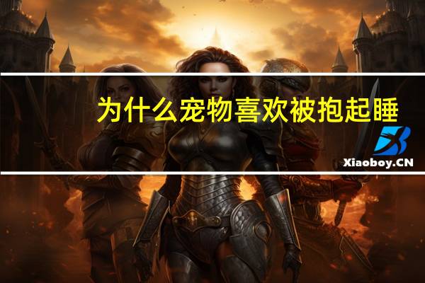 为什么宠物喜欢被抱起睡