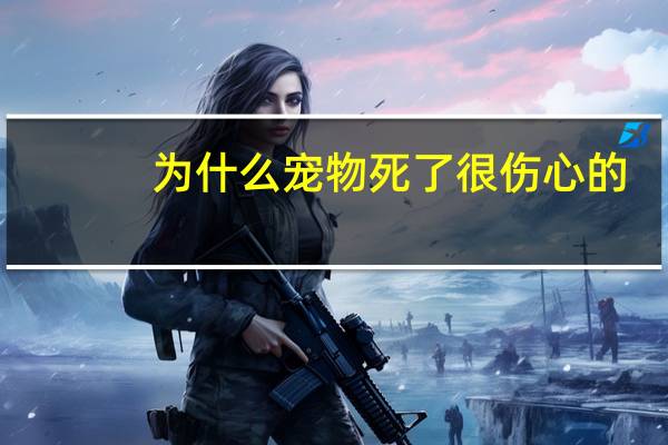 为什么宠物死了很伤心的
