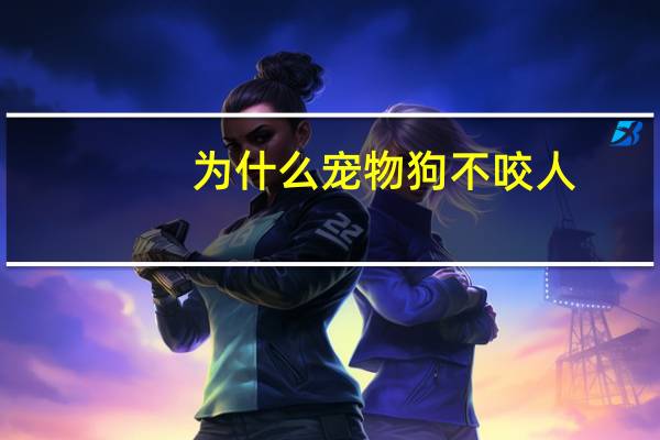 为什么宠物狗不咬人