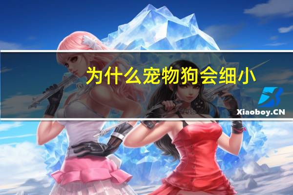 为什么宠物狗会细小