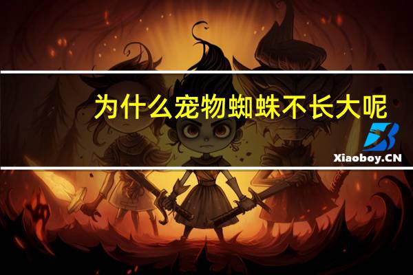 为什么宠物蜘蛛不长大呢