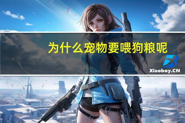 为什么宠物要喂狗粮呢