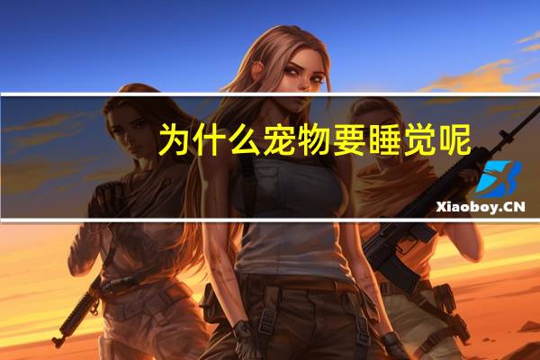 为什么宠物要睡觉呢