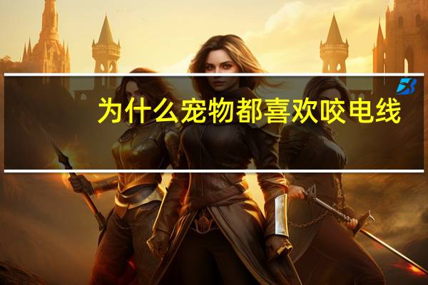 为什么宠物都喜欢咬电线