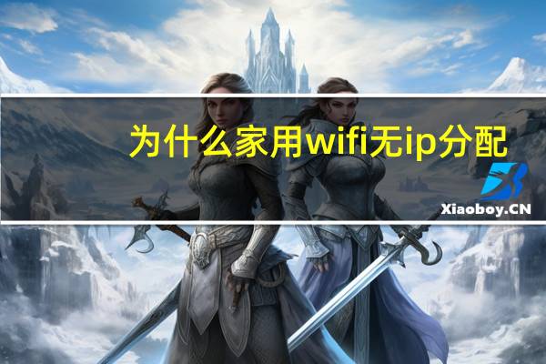 为什么家用wifi无ip分配