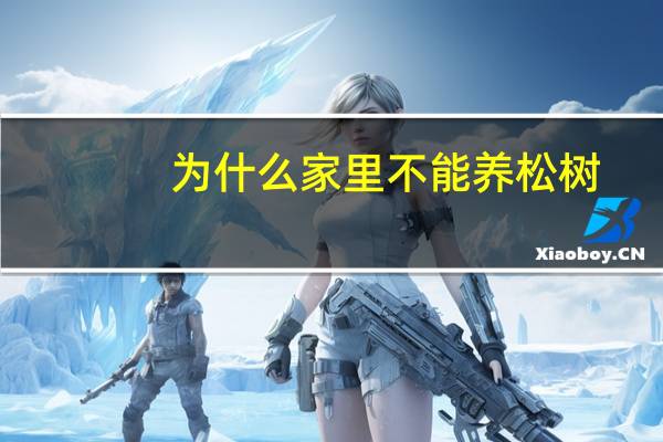为什么家里不能养松树