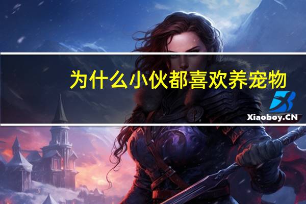 为什么小伙都喜欢养宠物