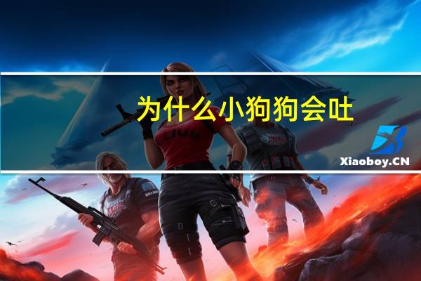 为什么小狗狗会吐