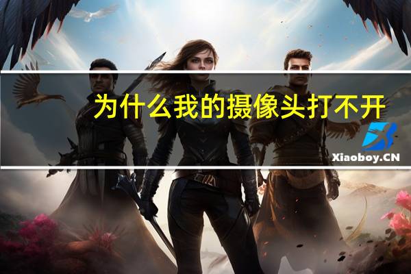 为什么我的摄像头打不开