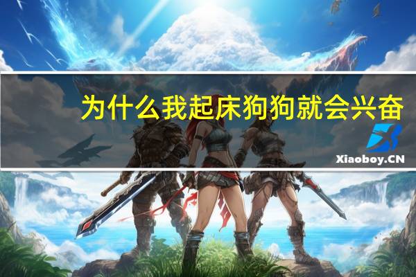 为什么我起床狗狗就会兴奋