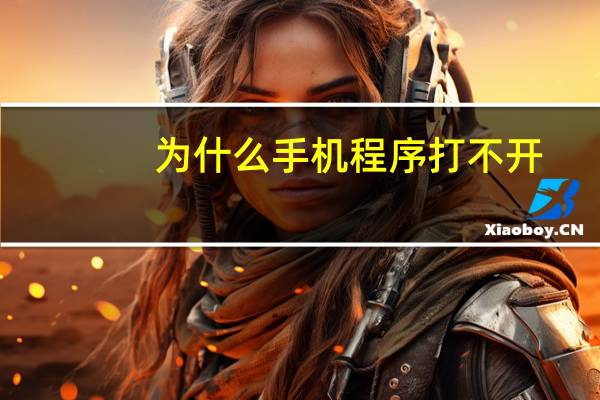 为什么手机程序打不开