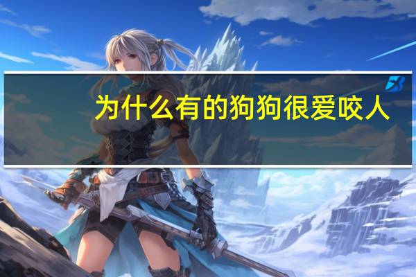 为什么有的狗狗很爱咬人