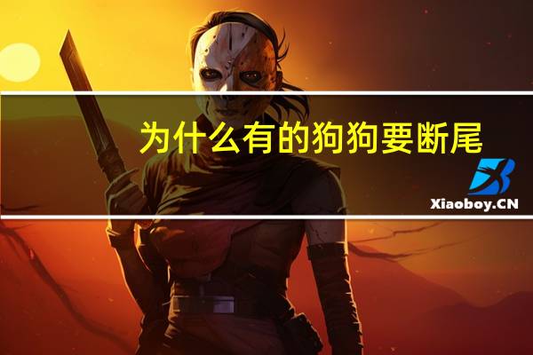 为什么有的狗狗要断尾