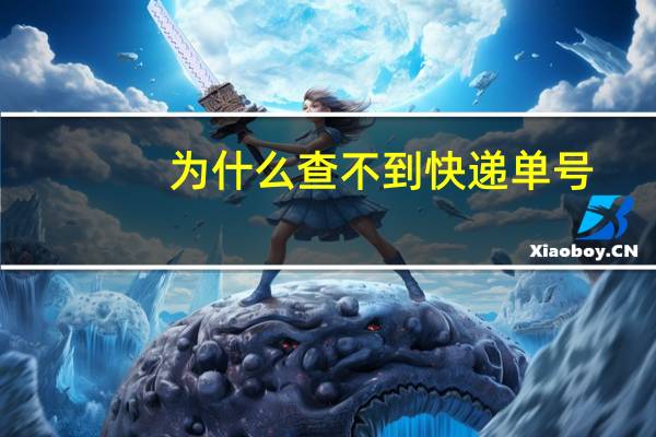 为什么查不到快递单号