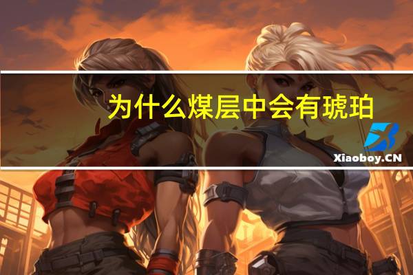 为什么煤层中会有琥珀
