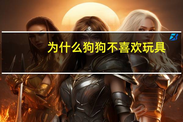 为什么狗狗不喜欢玩具