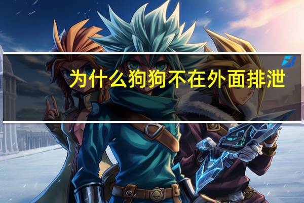 为什么狗狗不在外面排泄